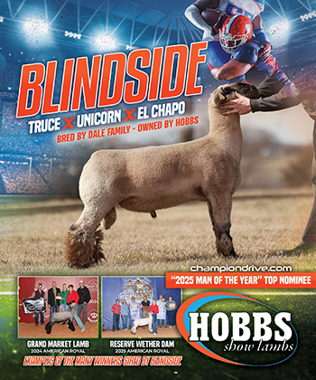 Blindside