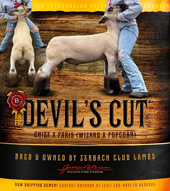 Devils Cut