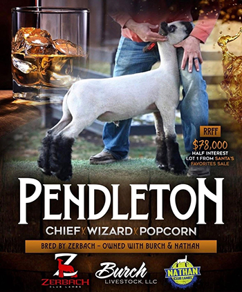 Pendleton