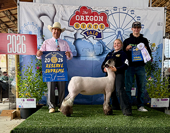 Reserve Supreme FFA Ewe
Reserve Blackface FFA Ewe
Oregon State Fair