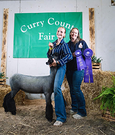 Grand Champion Ewe
Curry County Fair