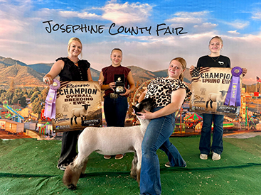 Reserve Champion Overall Ewe
Josephine County Fair