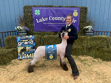 Reserve Grand Champion Market Lamb
Lake County Fair